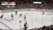 Florida Panthers Celebration GIF by NHL