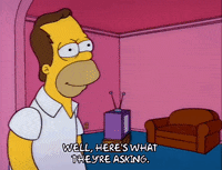 homer simpson episode 10 GIF