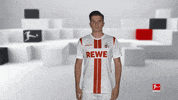 Posing Line Up GIF by Bundesliga