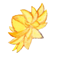 Daisy Yellowflower Sticker