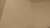 Think About It Ok GIF by Mane 'n Tail