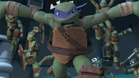 nickelodeon GIF by Teenage Mutant Ninja Turtles