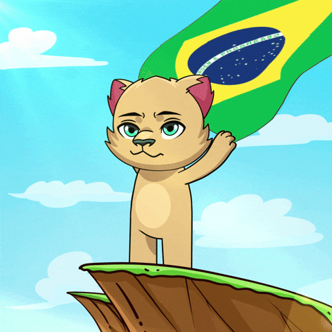Rio De Janeiro Flag GIF by Kabu