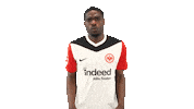 Eintracht Frankfurt What Sticker by Bundesliga