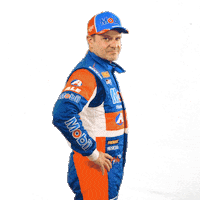 Rubens Barrichello Stockcar Sticker by Stock Car Brasil