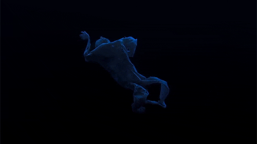 alexdfw giphyupload GIF