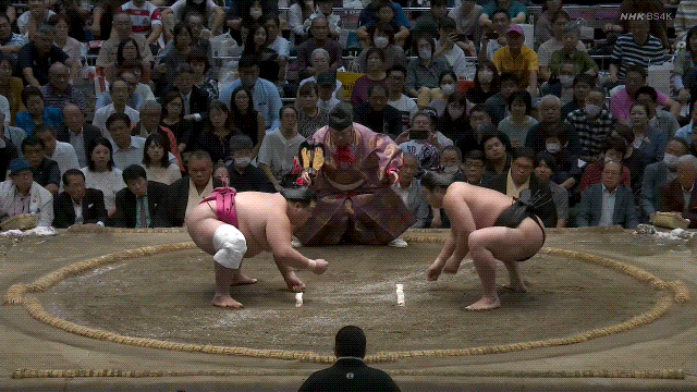 TZ85 giphyupload sumo 2023 aki basho wakamotoharu GIF