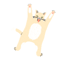 Dance Cat Sticker by elif demir