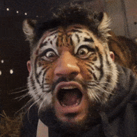 No Way Omg GIF