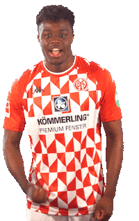 Bundesliga Yes Sticker by 1. FSV Mainz 05