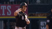Celebrate White Sox GIF by MLB