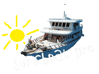 Maldives Sticker by surfboat