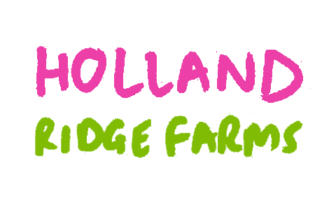 hollandridgefarms giphyupload holland ridge farms holland ridge farm holland ridge farms sunflower festival Sticker
