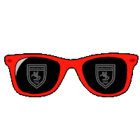 Samsunspor atatürk samsun samsunspor kingofthenorth Sticker