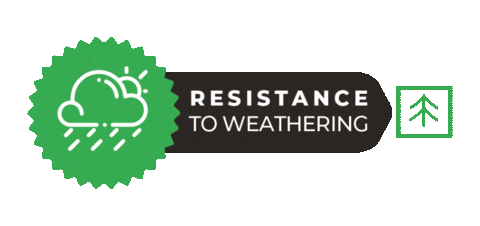 Sticker by Brazilian Lumber