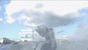 Stock Car Racing GIF by NASCAR
