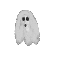 Halloween Fall Sticker