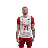 Forni Sticker by Polska Siatkowka