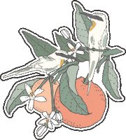 Spring Birds Sticker by YOOLETTA
