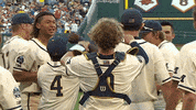 umichathletics celebration kerr michiganbaseball GIF