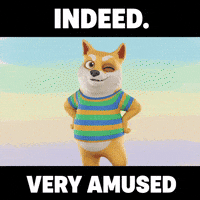 GIF by Doge Pound