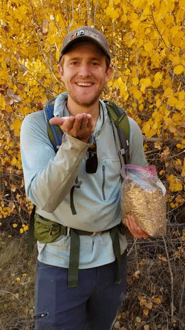 cpcutshaw giphyupload GIF