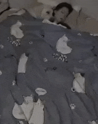 moethantkyaw giphyupload GIF