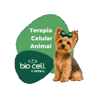 Terapia Celular Sticker by BIO CELL by Vetnil