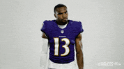Charm City Smh GIF by Baltimore Ravens