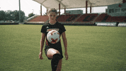 University Of Louisville Go Cards GIF by Louisville Cardinals