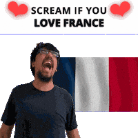 France Fr Sticker