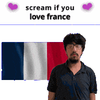 France Fr Sticker