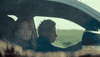 Maura Tierney Twisters GIF by Universal Pictures