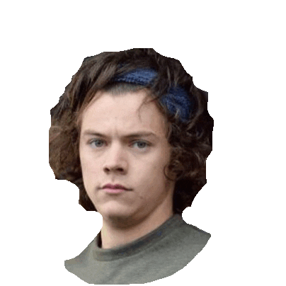 one direction 1d STICKER by imoji