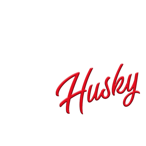 Kassel-Huskies giphyupload goal tor eishockey Sticker
