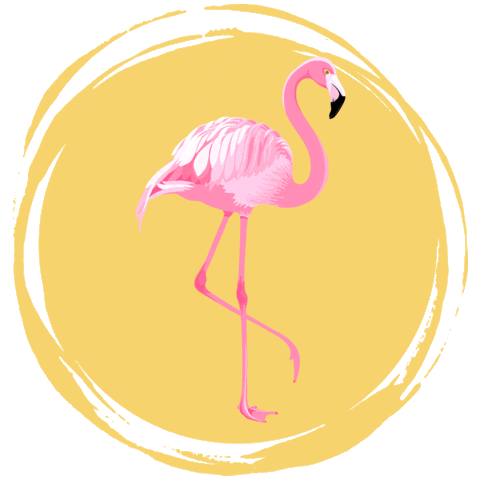Pink Flamingo Sticker by Viaggio senza scalo