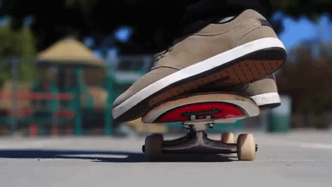 Skateboardcave giphygifmaker skateboard longboard GIF