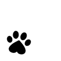 Cute Dog Sticker by Petique, Inc.