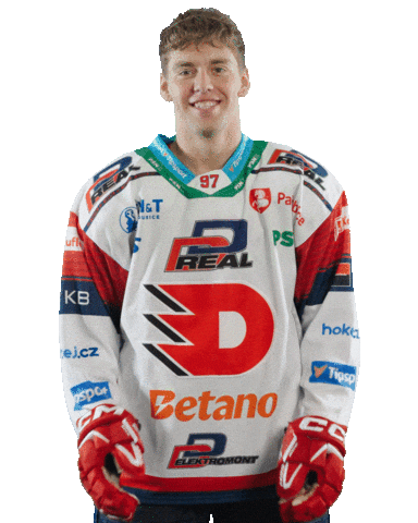Hockey Czech Sticker by HC Dynamo Pardubice