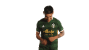 Portland Timbers Sticker by Timbers