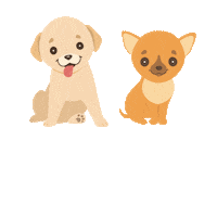 Best Friends Pride Sticker by Petland Florida