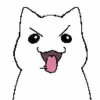 Cat Kitty GIF