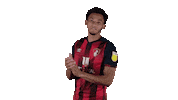 Happy Football Sticker by AFC Bournemouth