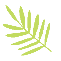 Plants Leaf Sticker