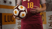 College Sports Sport GIF by LoyolaRamblers