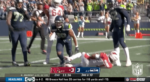 Seattle Seahawks Football GIF by NFL
