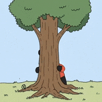Hide And Seek Tree GIF by Pandu Pandas