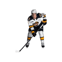ottershockey ohl erie otters erie otters hockey otters hockey Sticker
