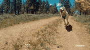 fun love GIF by Outside TV