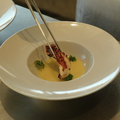 alchiardiluna giphyupload GIF